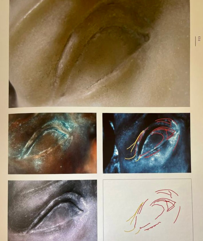 Il mito di Medusa, Medusa, mito, Bernini, Gian Lorenzo Bernini, Studio Pancallo, psicologia, psicoterapia